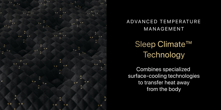 Beautyrest Black® Series Four Firm Pillow Top Mattress