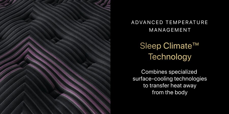 Beautyrest Black® Series Two Firm Mattress