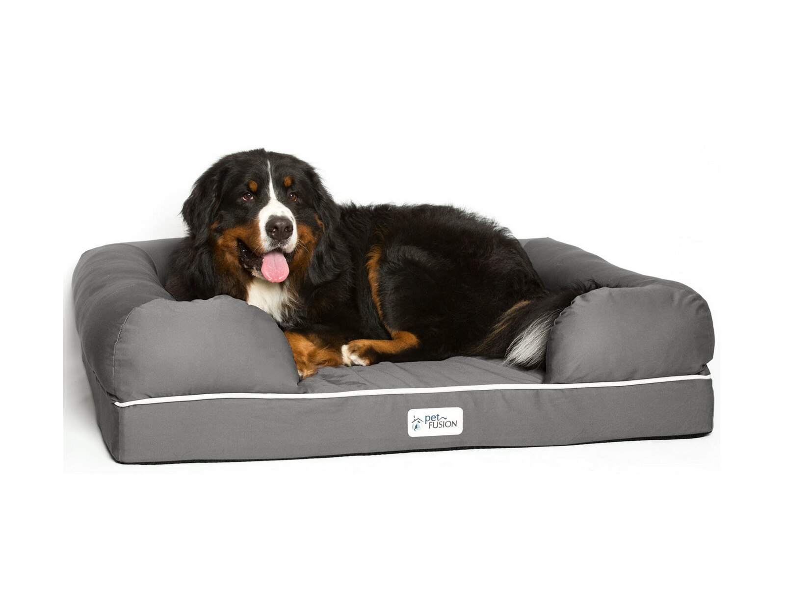 Mattress firm dog bed hot sale