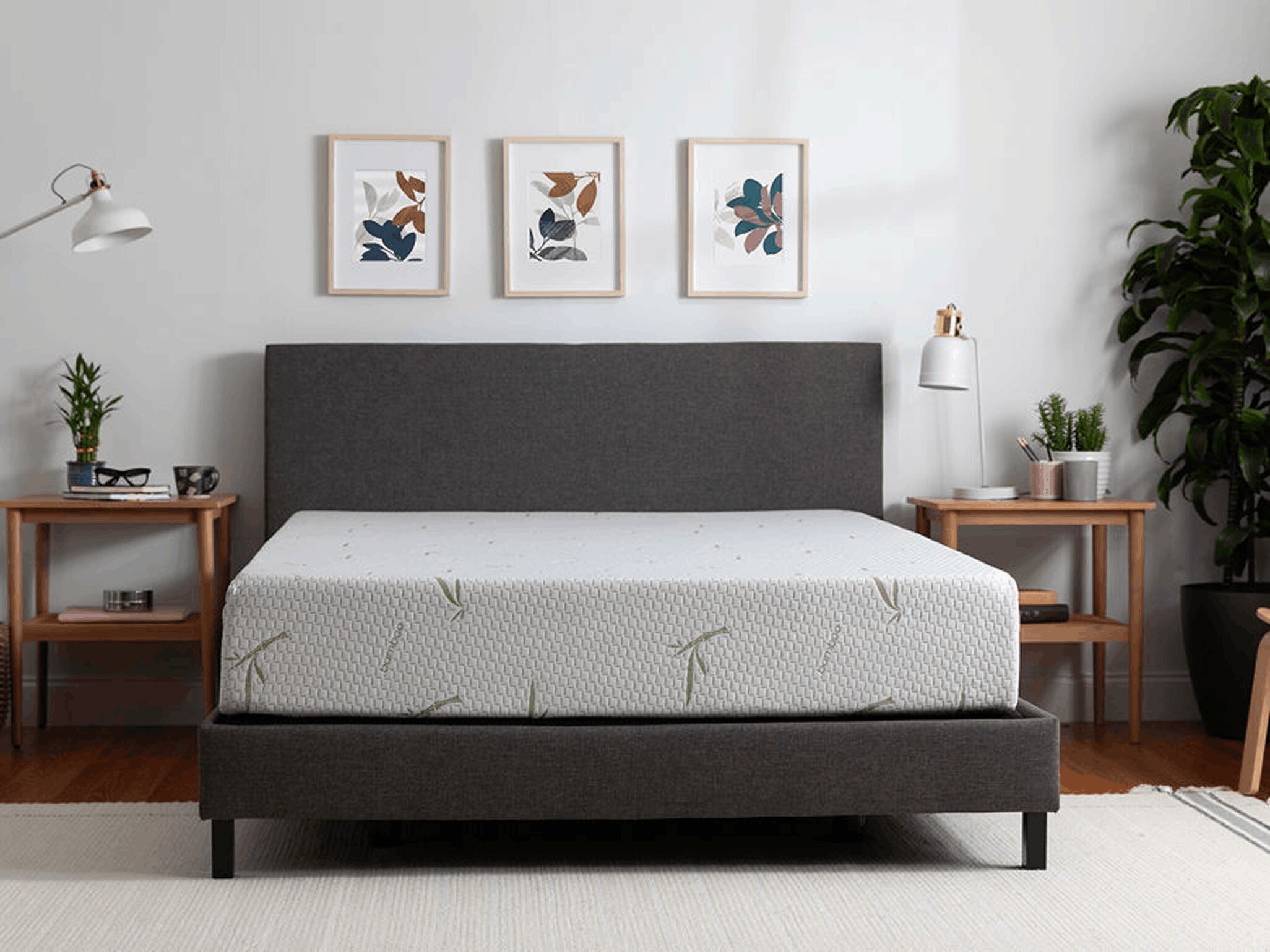 Foam Guest Beds