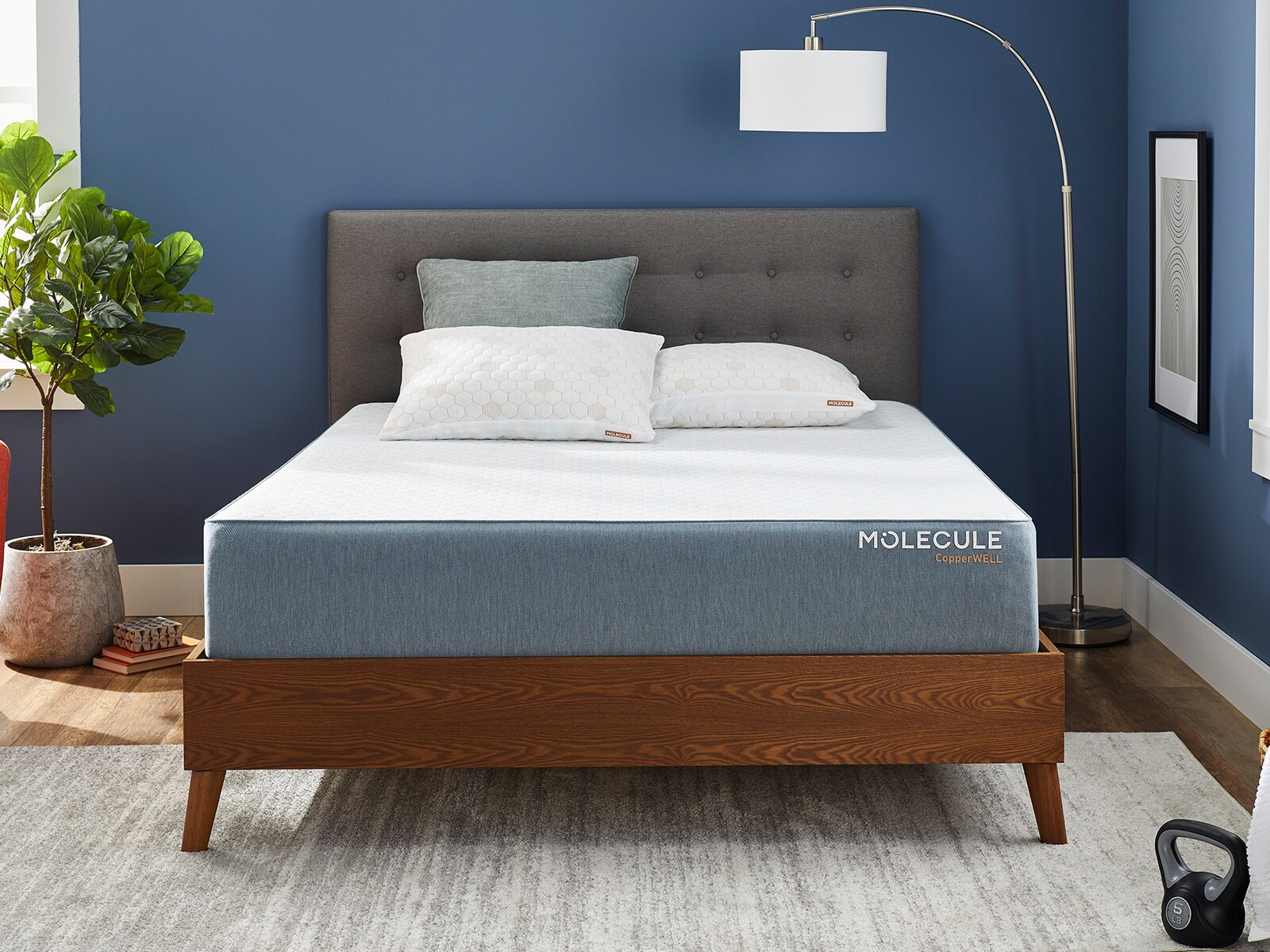 molecule memory foam mattress reviews