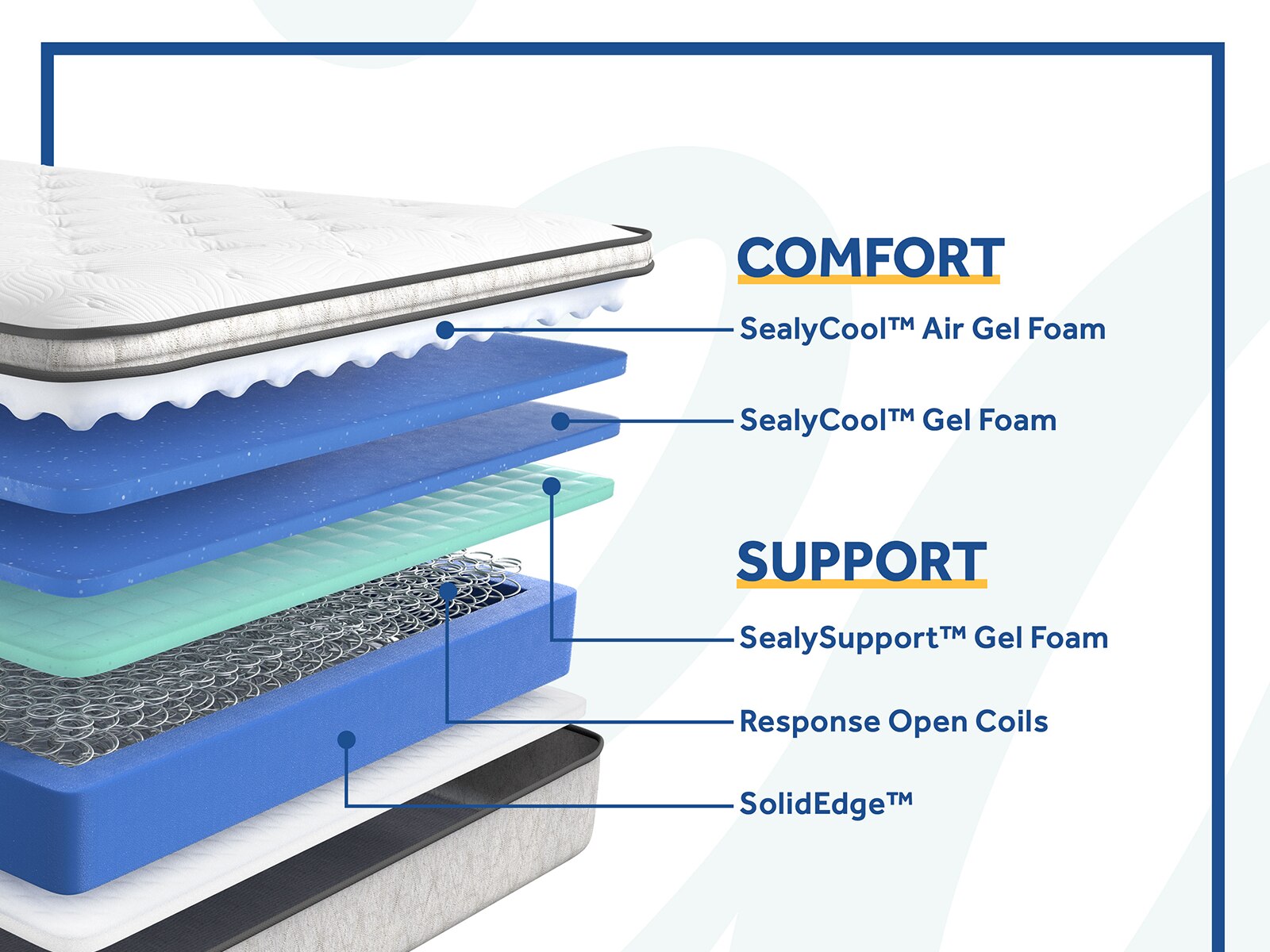 sealy essentials spellman plush mattress & box spring set