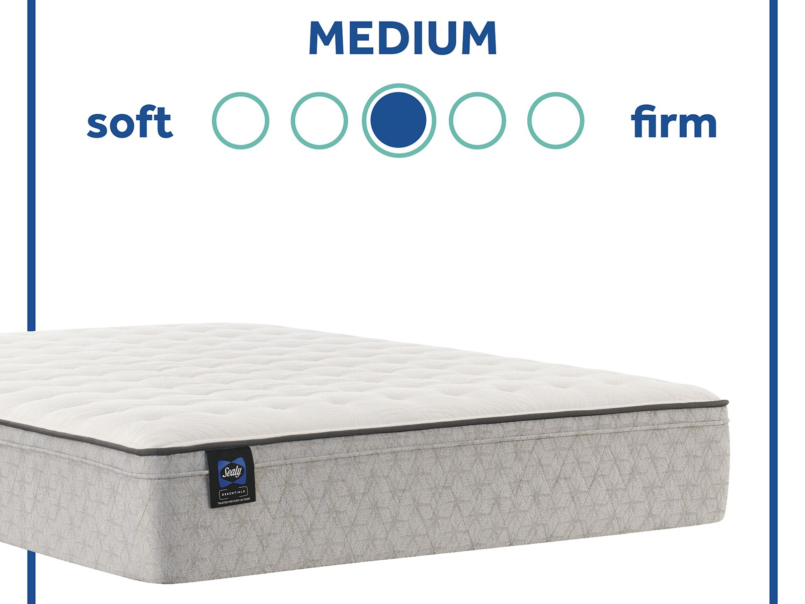 Sealy Essentials™ Winter Green 12" Medium Euro Top Mattress Mattress Firm
