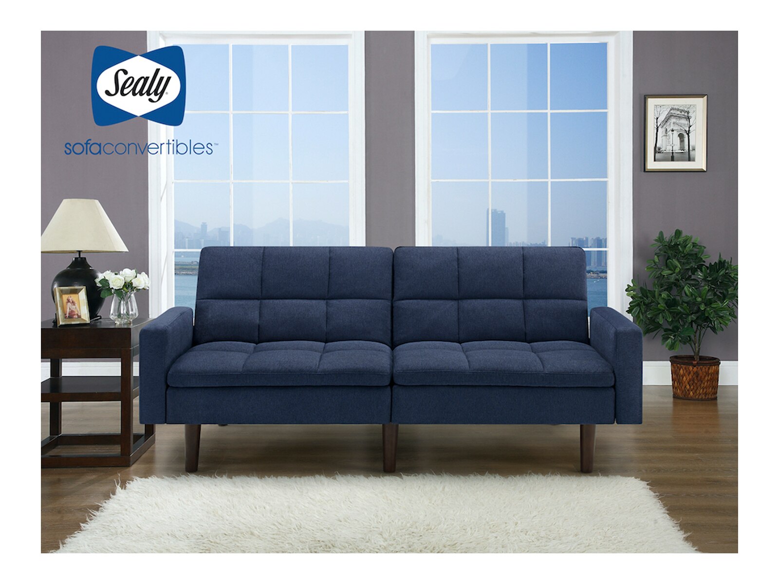 Sealy Sleeper Sofa Queen | www.resnooze.com