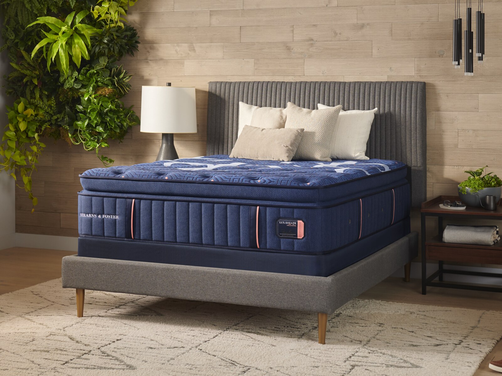 16 Inch Plush Mattresses