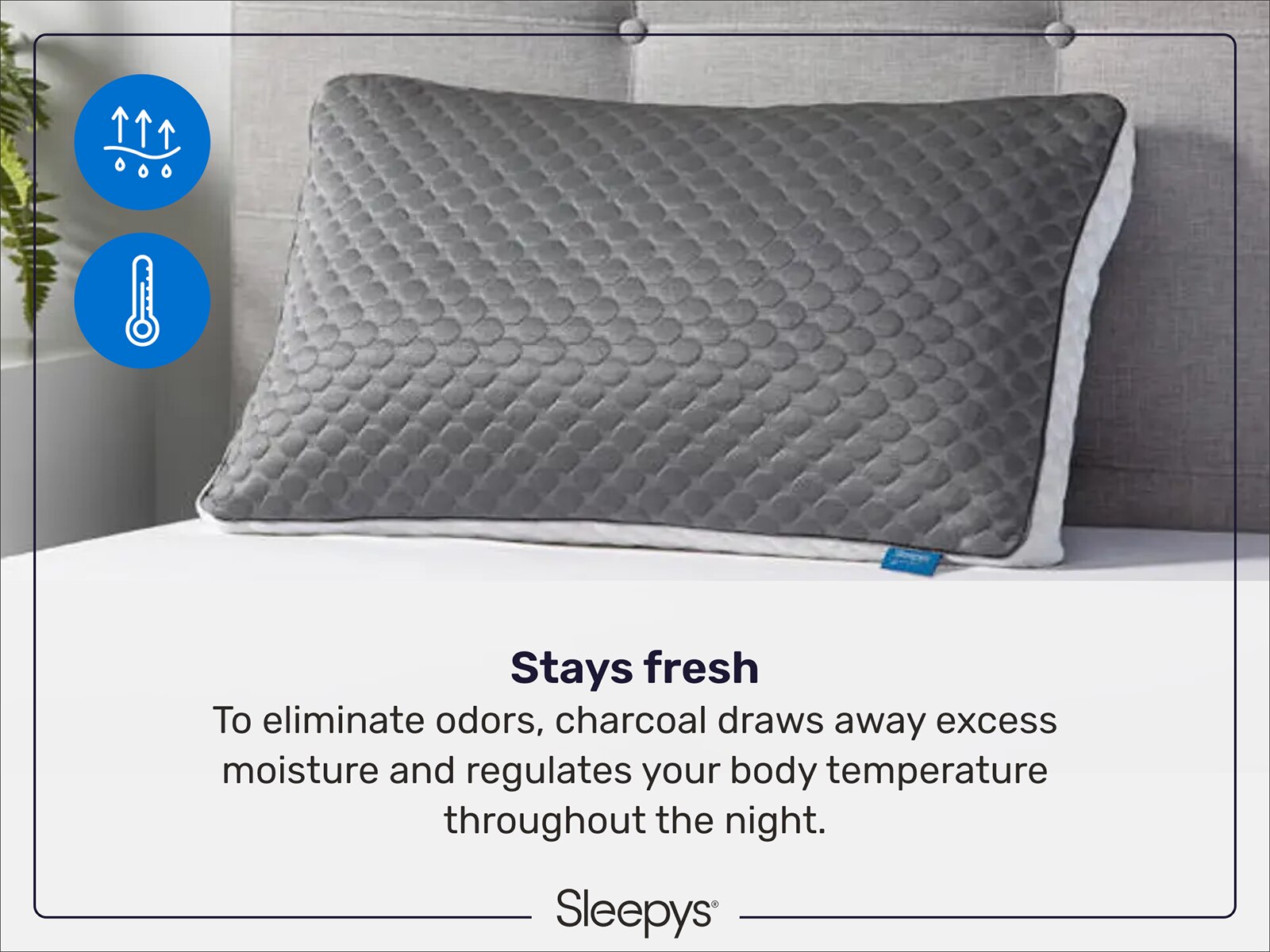 Sleepy's Charcoal Cool Pillow