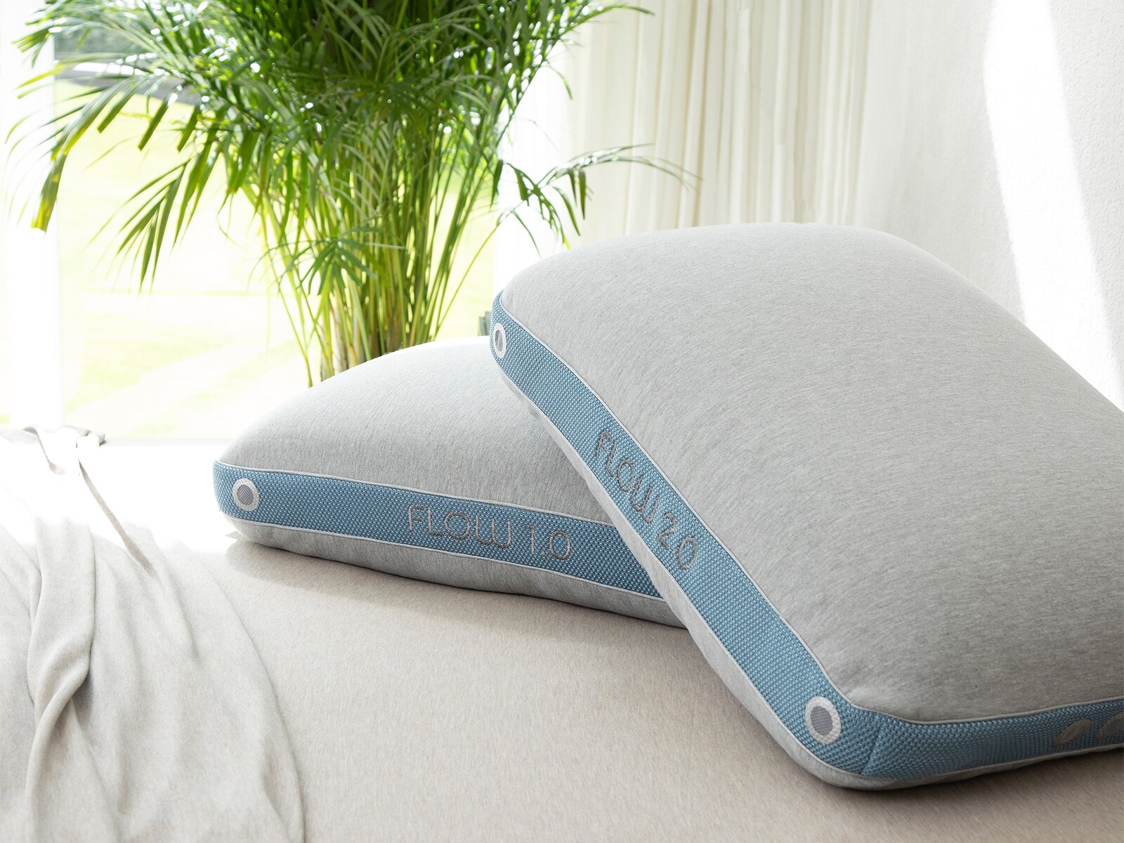 Bed Pillows