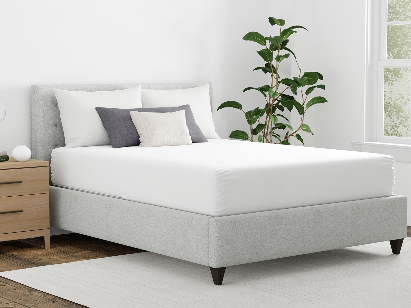 Queen Mattress Cover
