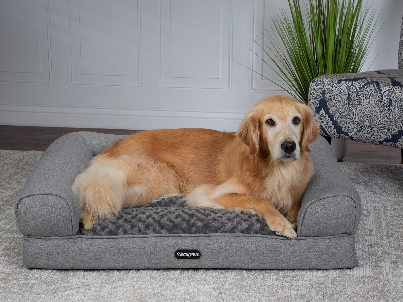 Orthopedic Beds For Indoor Pets