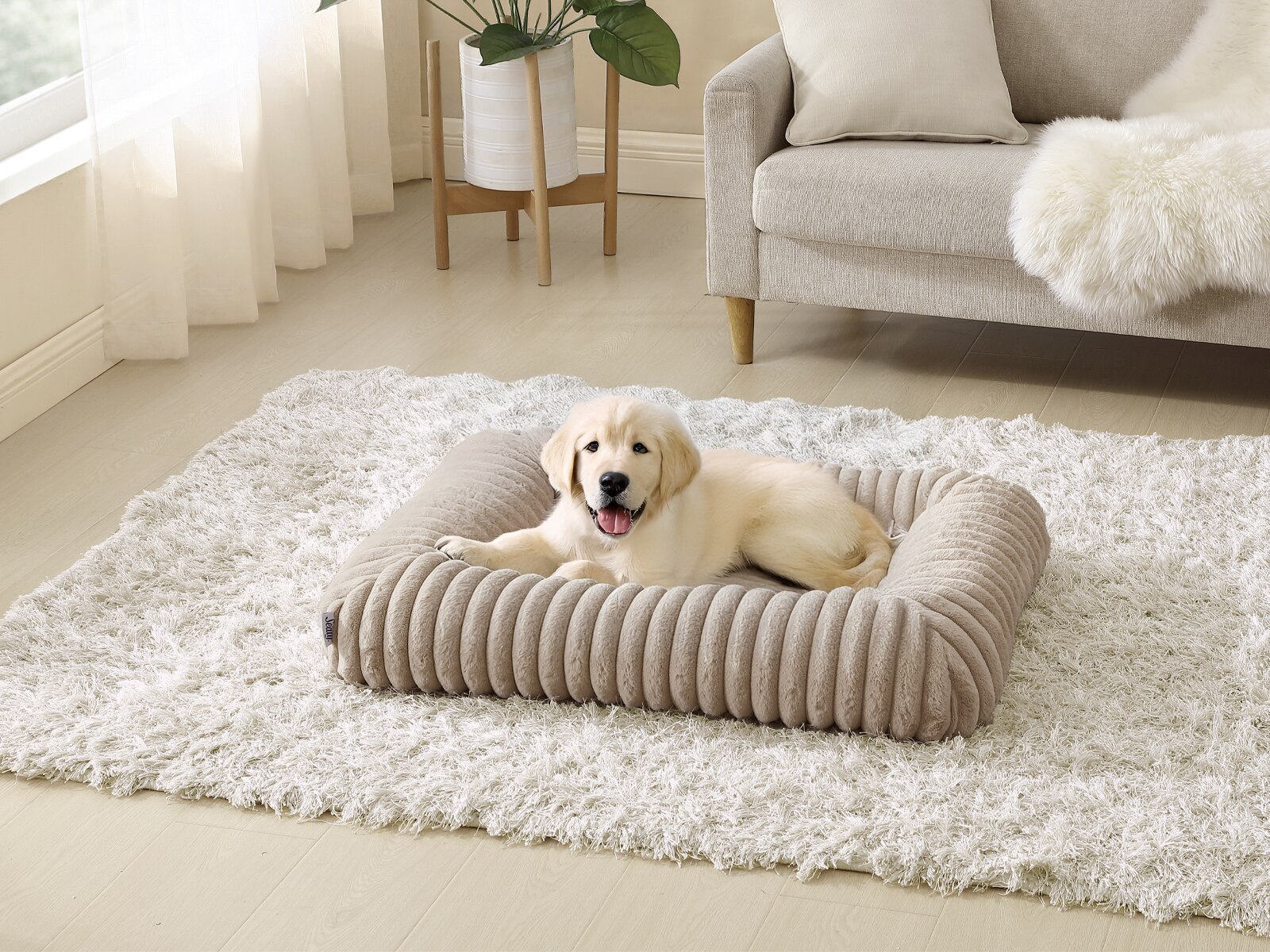Comfortable Dog Beds