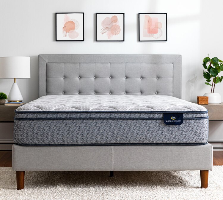mattressfirm.com | Serta Perfect Sleeper Charlotte 11.5" Medium Plush Mattress